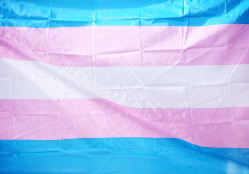 Support for Transgender People in Indianapolis: Resources to Survive and Thrive